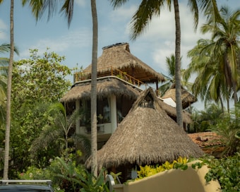 A tropical setting features a multi-level structure with thatched roofs surrounded by various palm trees and lush greenery. The architecture is reminiscent of traditional huts, with natural materials blending into the landscape. A vehicle is partially visible in the foreground, indicating a residential or guesthouse environment.