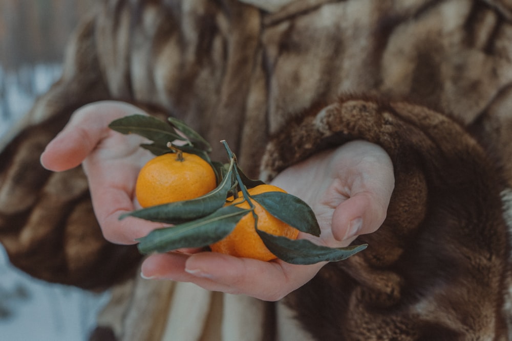 una persona sosteniendo dos naranjas en sus manos