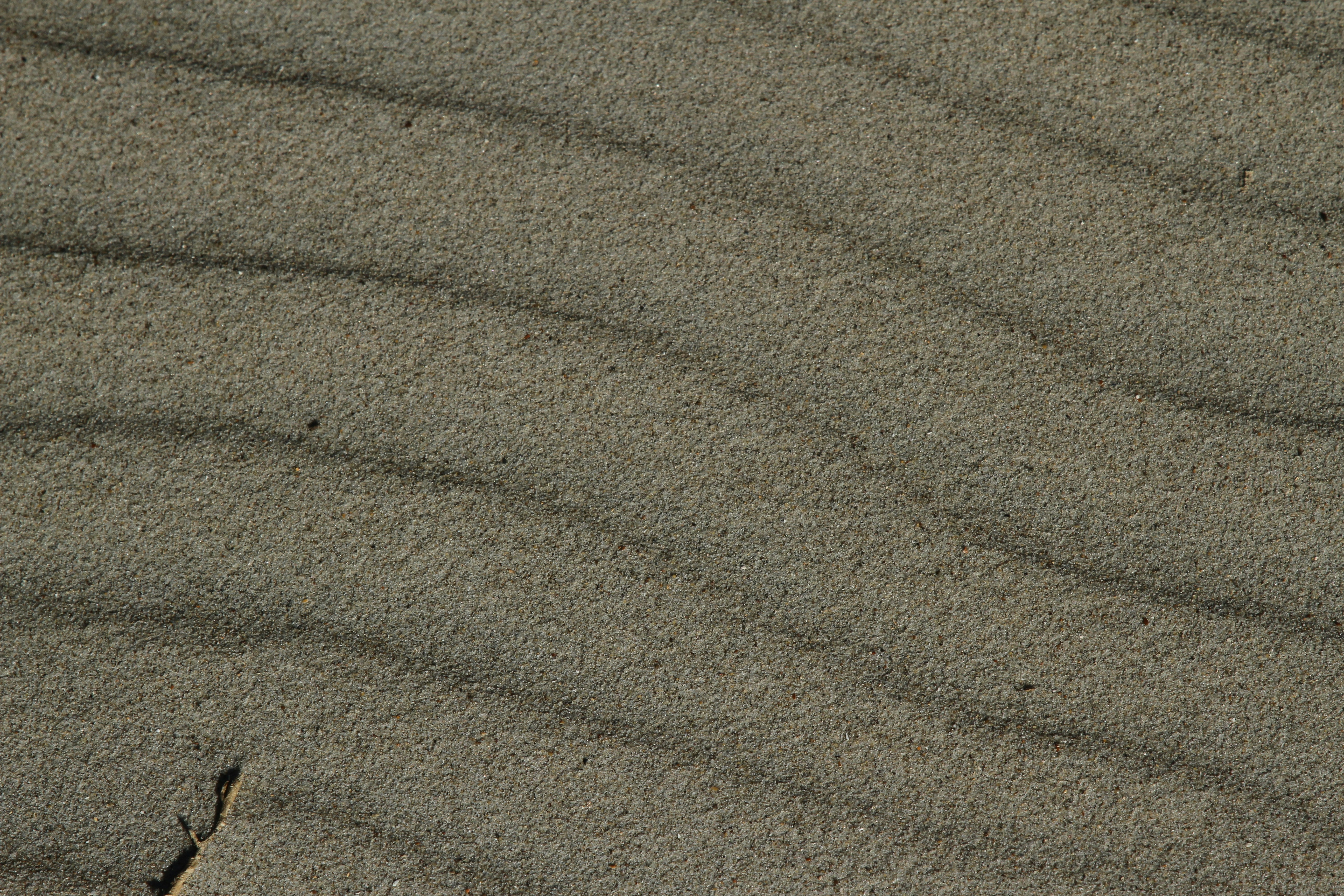 Photo by jcollins_97