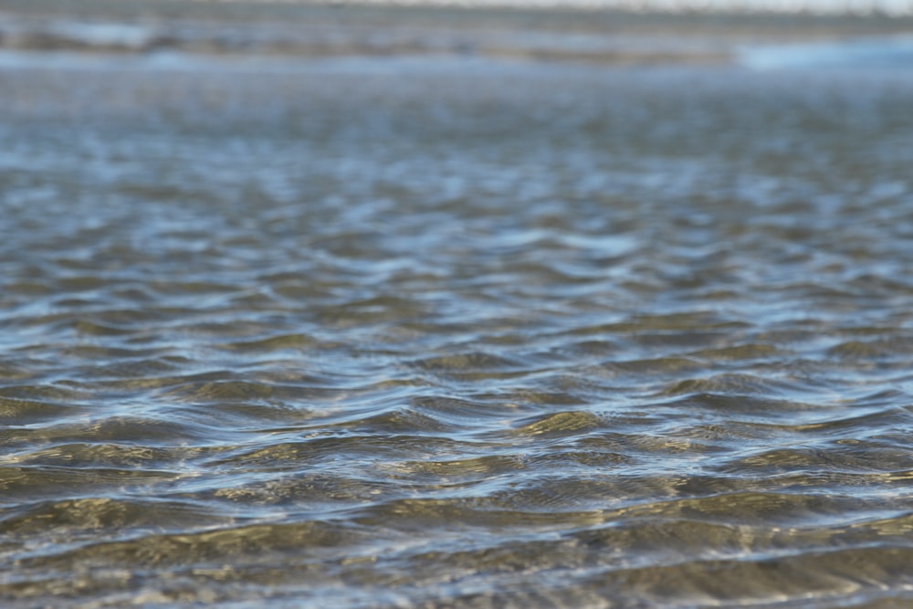 a close up of the water on a beach