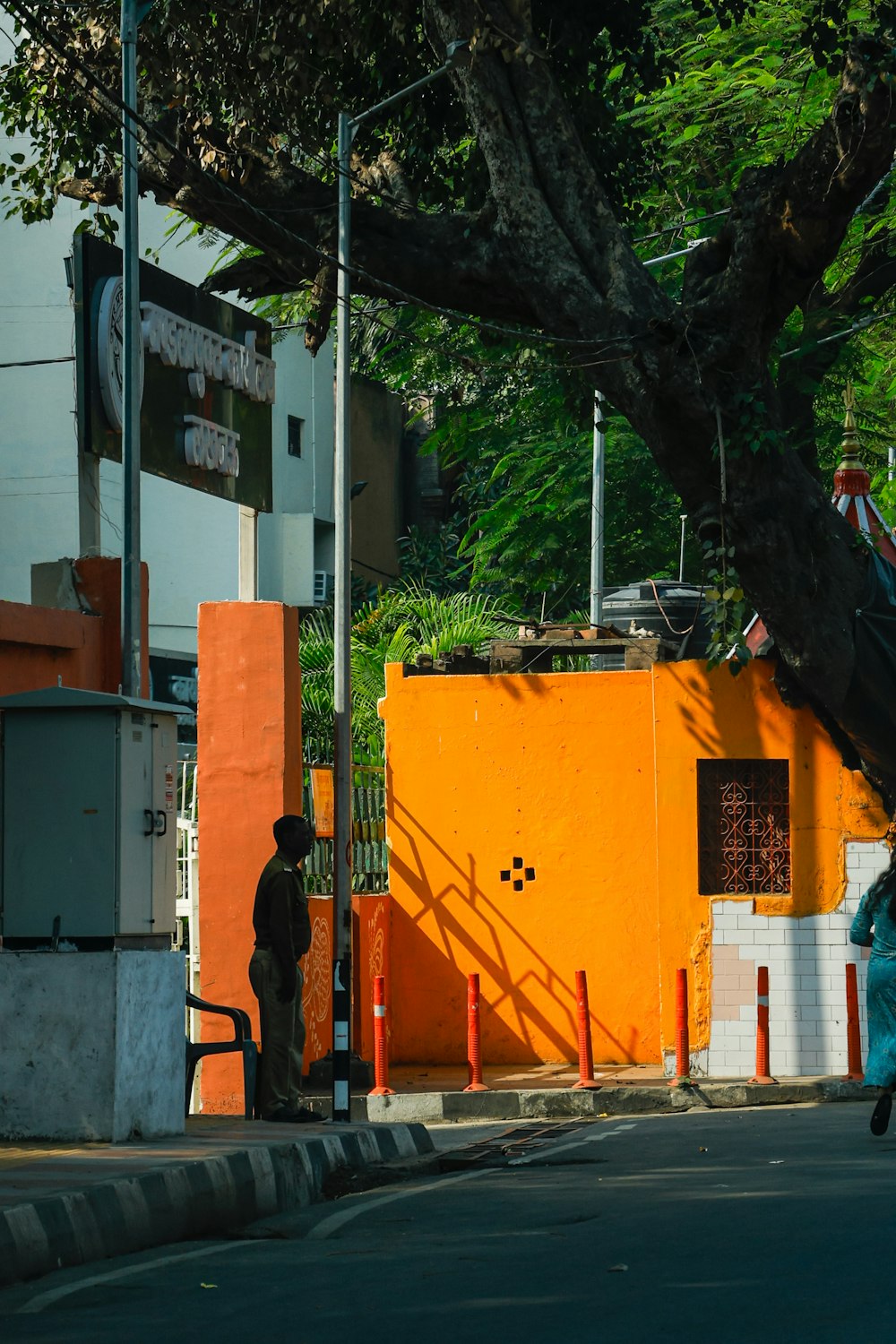 a man walking down a street next to a tall tree