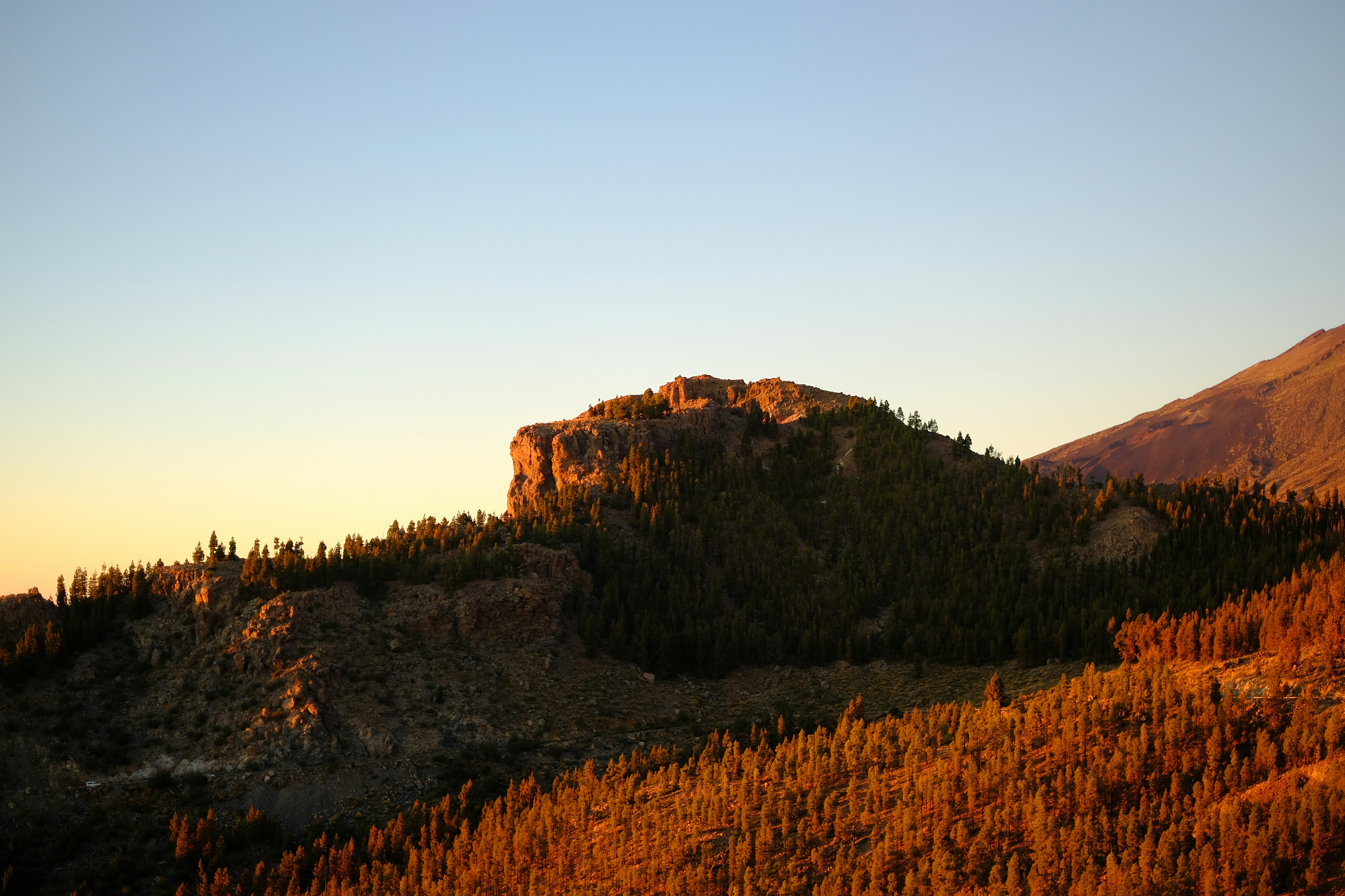 Photo by zaralazarov