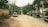 A dirt road lined with palm trees and small vehicles, including golf carts and a white car. Residential buildings and tropical vegetation can be seen on either side, with utility poles in the background.