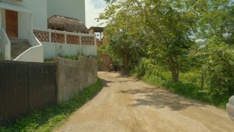 A rural dirt road leads through a lush, green area with a mixture of natural and rural elements. On the left, a white building features a thatched roof section and decorative brickwork. The road is surrounded by tall trees and dense vegetation. A person is walking along the road, adding a sense of life to the scene.