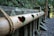 A series of bamboo sections are aligned horizontally, featuring heart-shaped cutouts with a green background. The bamboo is tied together with rope and set against a moss-covered stone wall, creating a natural and rustic scene.