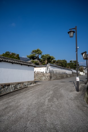 A serene Buenos Aires street at dawn with soft white and light blue tones.