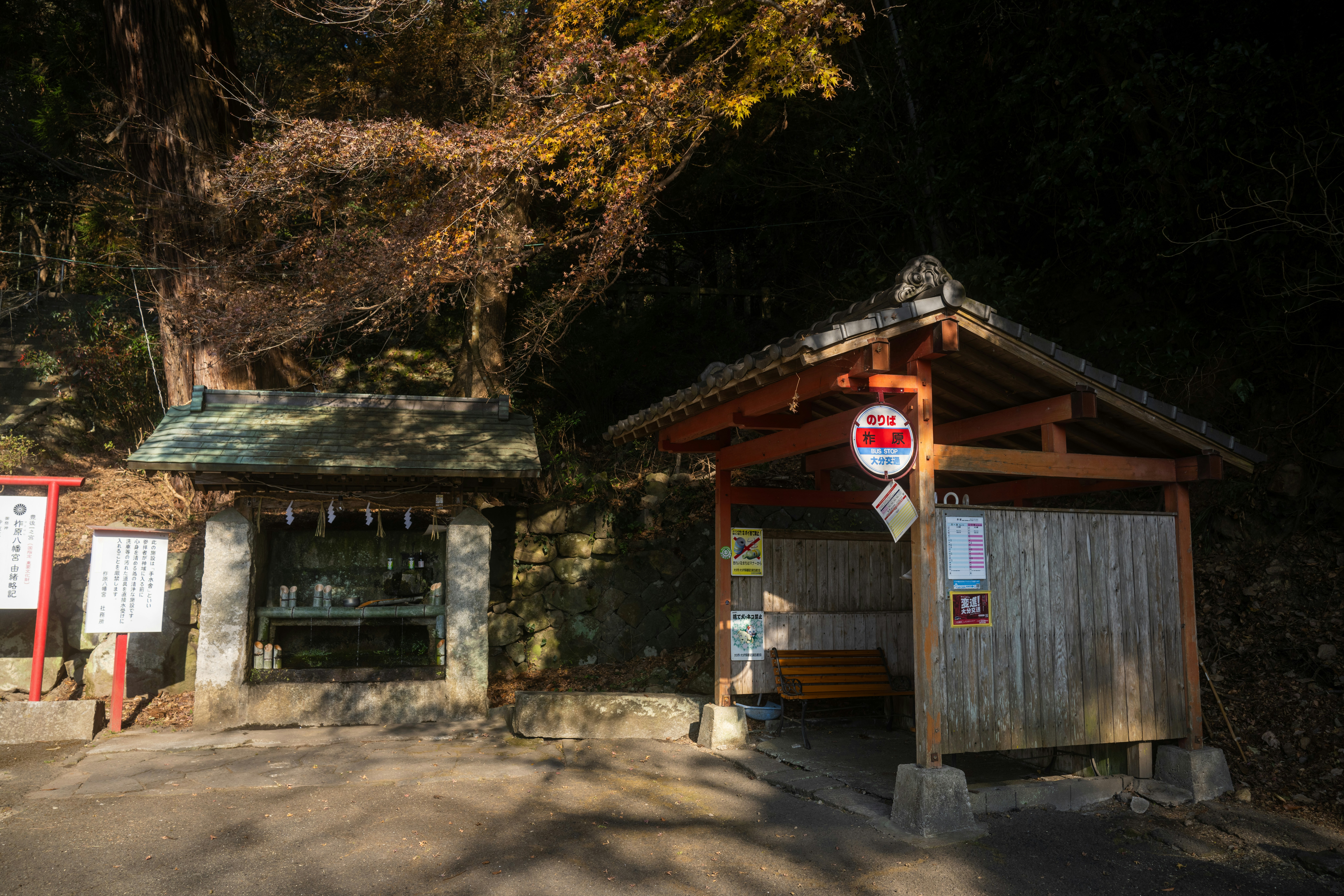 Photo by pafuxu