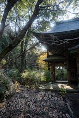 Visitors engaging with curved bamboo structures under soft natural light in a European landscape.