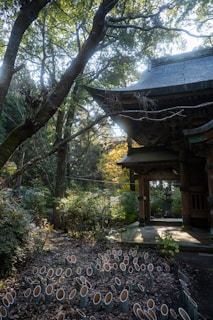 Visitors engaging with curved bamboo structures under soft natural light in a European landscape.