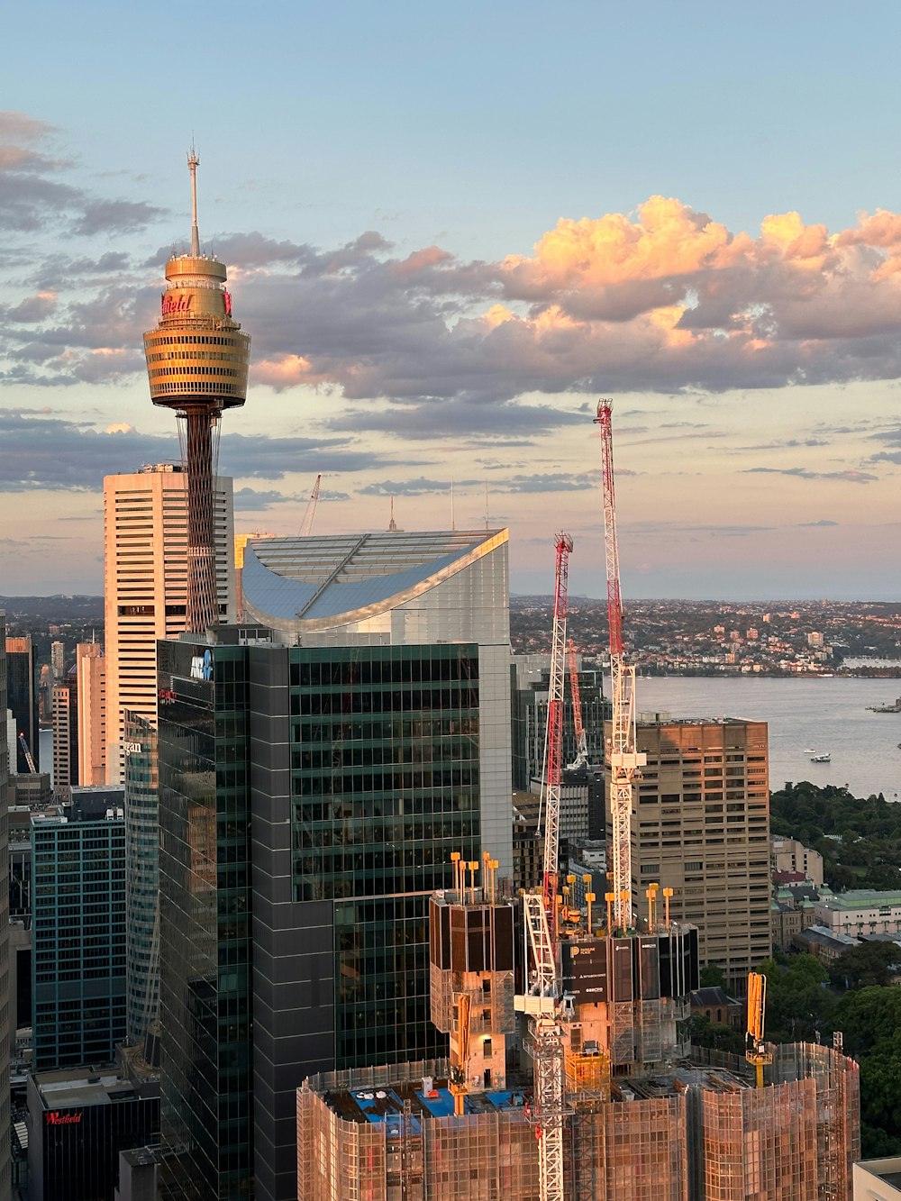 a city with a lot of tall buildings next to a body of water