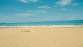 A sunlit shoreline with gentle waves and a wooden compass resting on the sand.