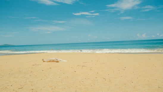 A sunlit shoreline with gentle waves and a wooden compass resting on the sand.