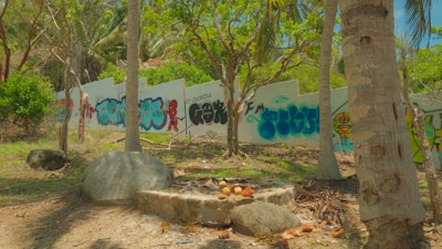 A tropical outdoor setting featuring a white wall covered in colorful graffiti, surrounded by palm trees and other green foliage. Large rocks and scattered coconut shells are present on the ground, with a sunny and clear sky above.