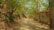 A dirt pathway leads through a lush area with abundant green trees overhead. To the right, a wall covered with vibrant graffiti lines the path. A sign in Spanish is attached to a post nearby. The path is shaded by the trees, and the light filtering through the foliage creates a serene atmosphere.