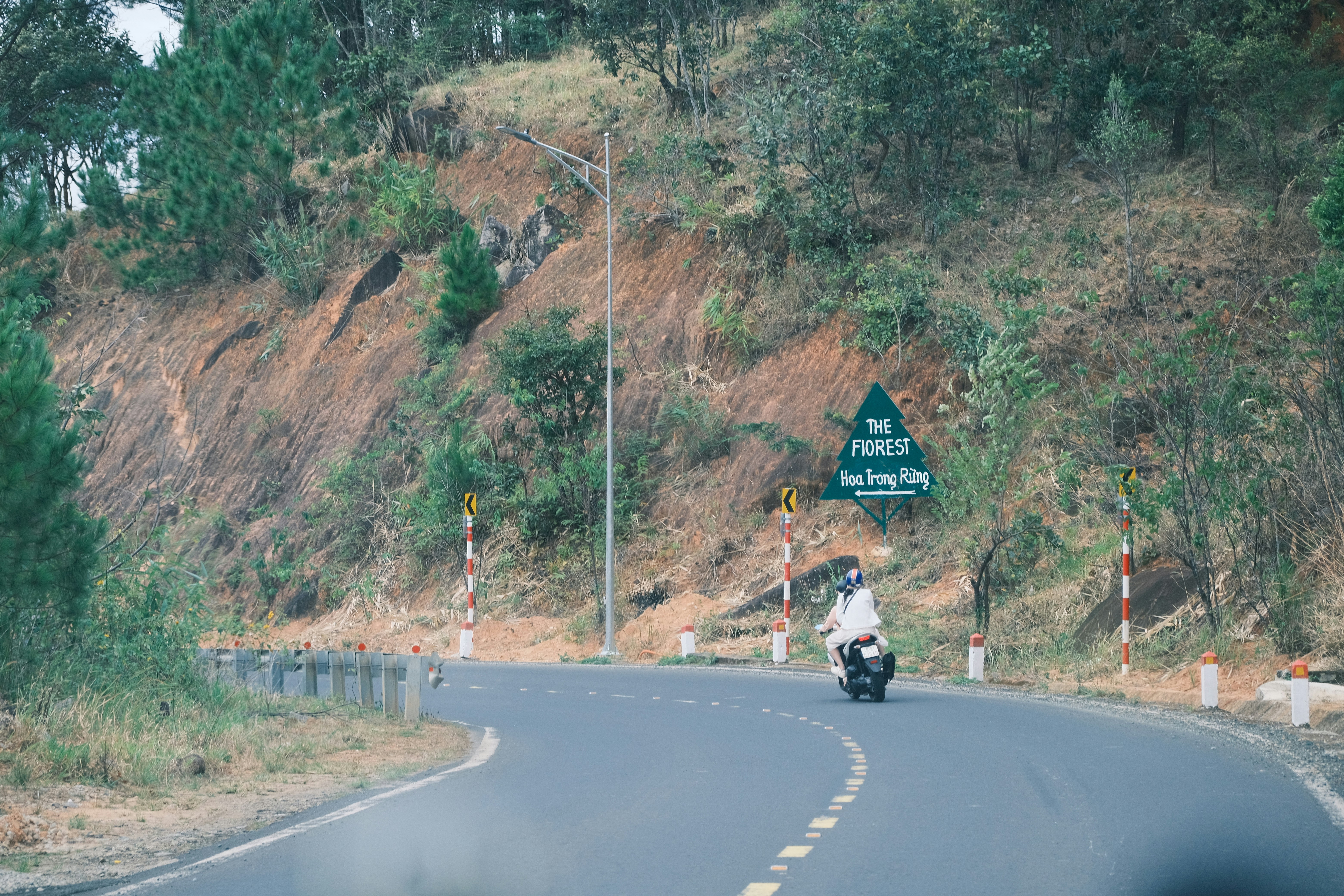 A happy traveler riding a motorbike through the scenic pine forests of Da Lat.