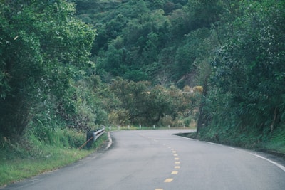 A scenic road winding through lush greenery between Rajahmundry and Maredumilli.
