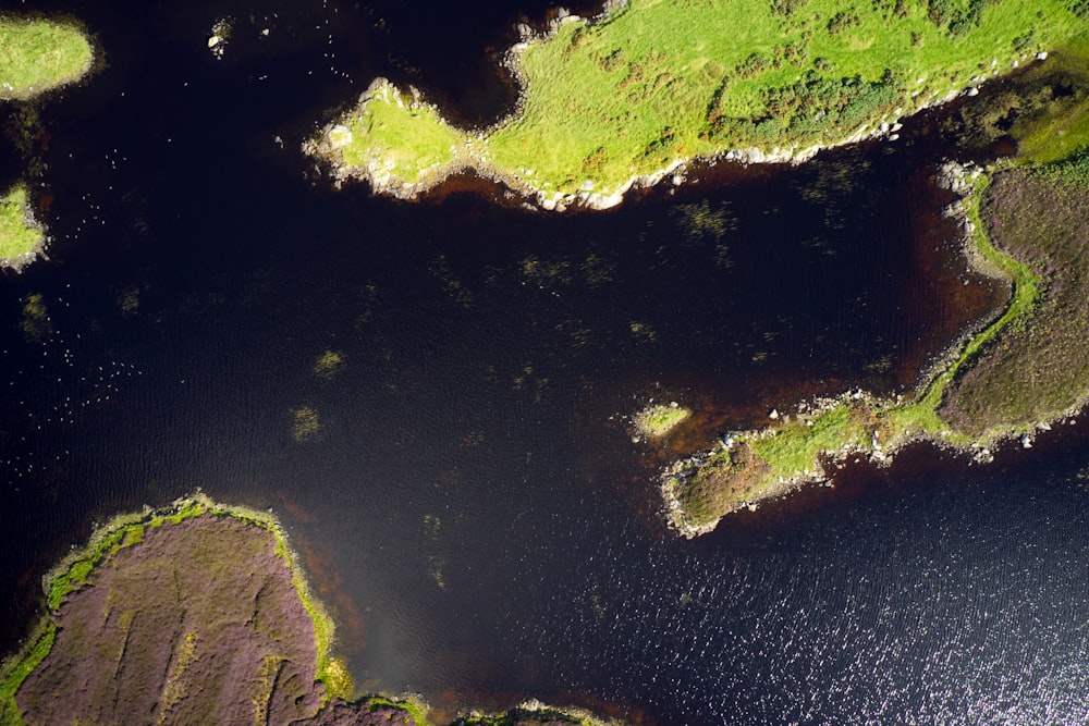 a large body of water surrounded by lush green land