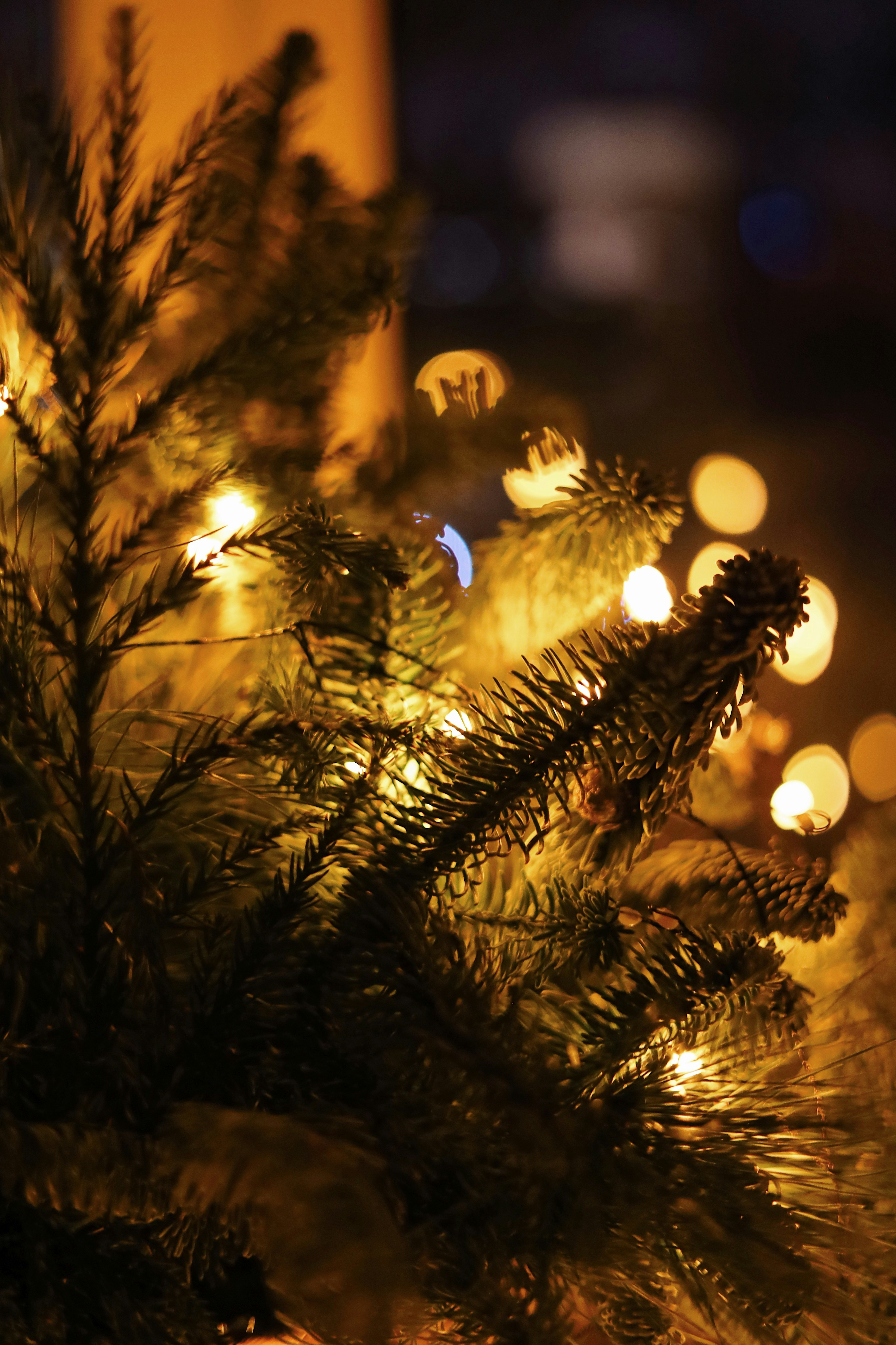 Twinkling Fairy String Lights