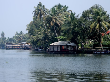 Several houseboats are moored along a calm waterway bordered by lush, tropical trees. The scene is tranquil with clear reflections on the water, and the houseboats are nestled close to the green foliage.