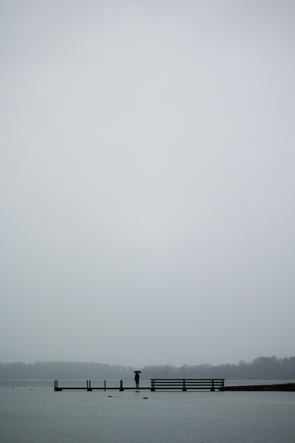 a person standing on a pier in the middle of a lake