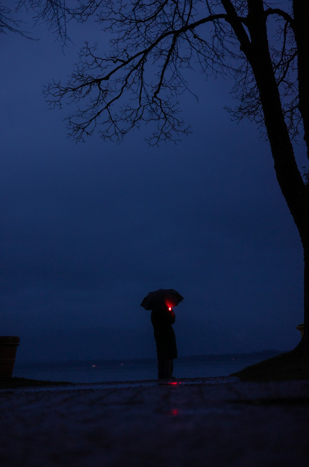 a person standing under a tree holding an umbrella