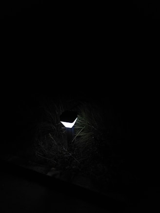 An outdoor solar light illuminating a garden.