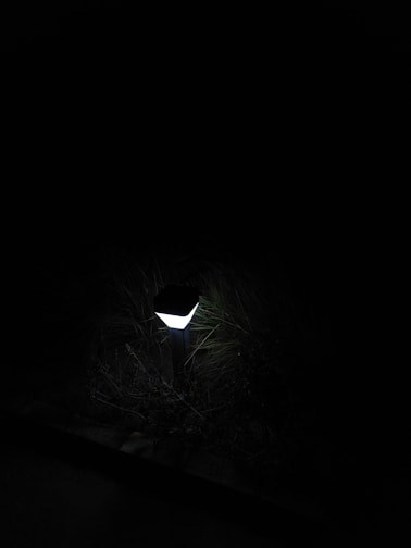 An outdoor solar light illuminating a garden.
