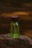A green perfume bottle with a wooden cap placed on a textured rock surface. The background is blurred with warm amber lighting, creating a natural and earthy ambiance.