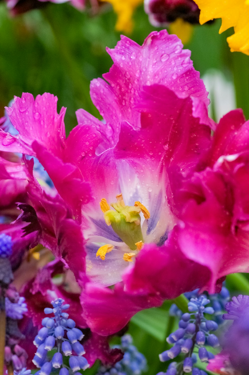 ein Blumenstrauß, der sich in einer Vase befindet