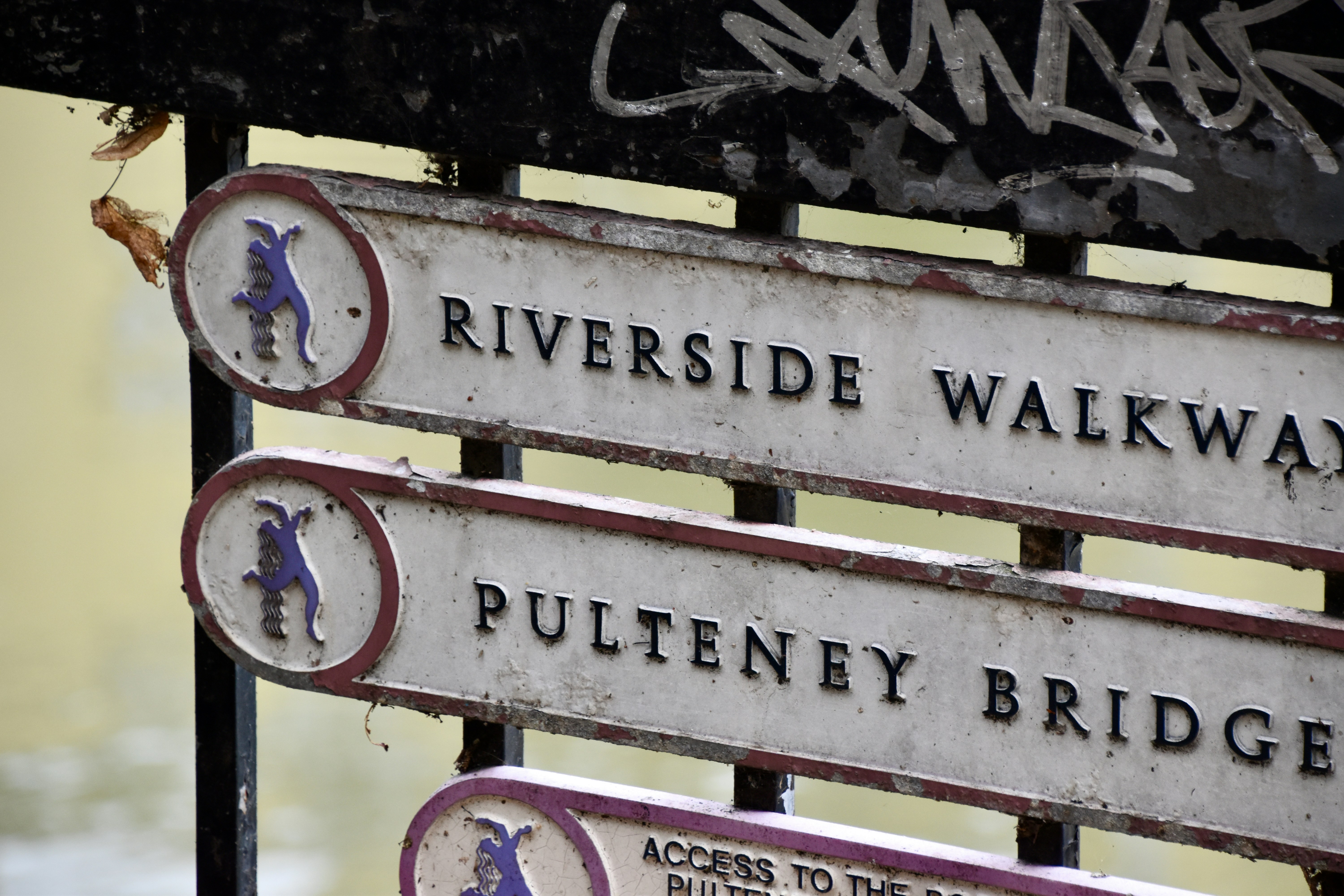 Relaxing Bath with Aromatic Oils