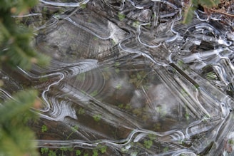 Layered ice formations with intricate patterns cover a surface, beneath which green leaves and soil are visible, creating a blend of texture and transparency.