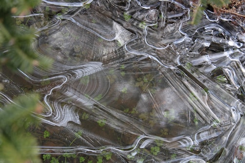 Layered ice formations with intricate patterns cover a surface, beneath which green leaves and soil are visible, creating a blend of texture and transparency.