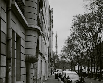 A black and white photograph capturing a Parisian street with classic architecture on the left and a row of trees on the right. In the distance, the Eiffel Tower is visible, adding a distinct and iconic element to the scene.