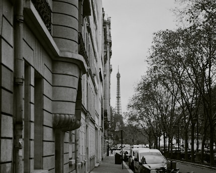 A black and white photograph capturing a Parisian street with classic architecture on the left and a row of trees on the right. In the distance, the Eiffel Tower is visible, adding a distinct and iconic element to the scene.