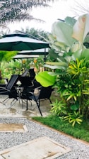A serene outdoor seating area surrounded by tropical plants.