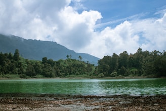 A serene landscape featuring a calm lake surrounded by lush greenery and soft morning light.