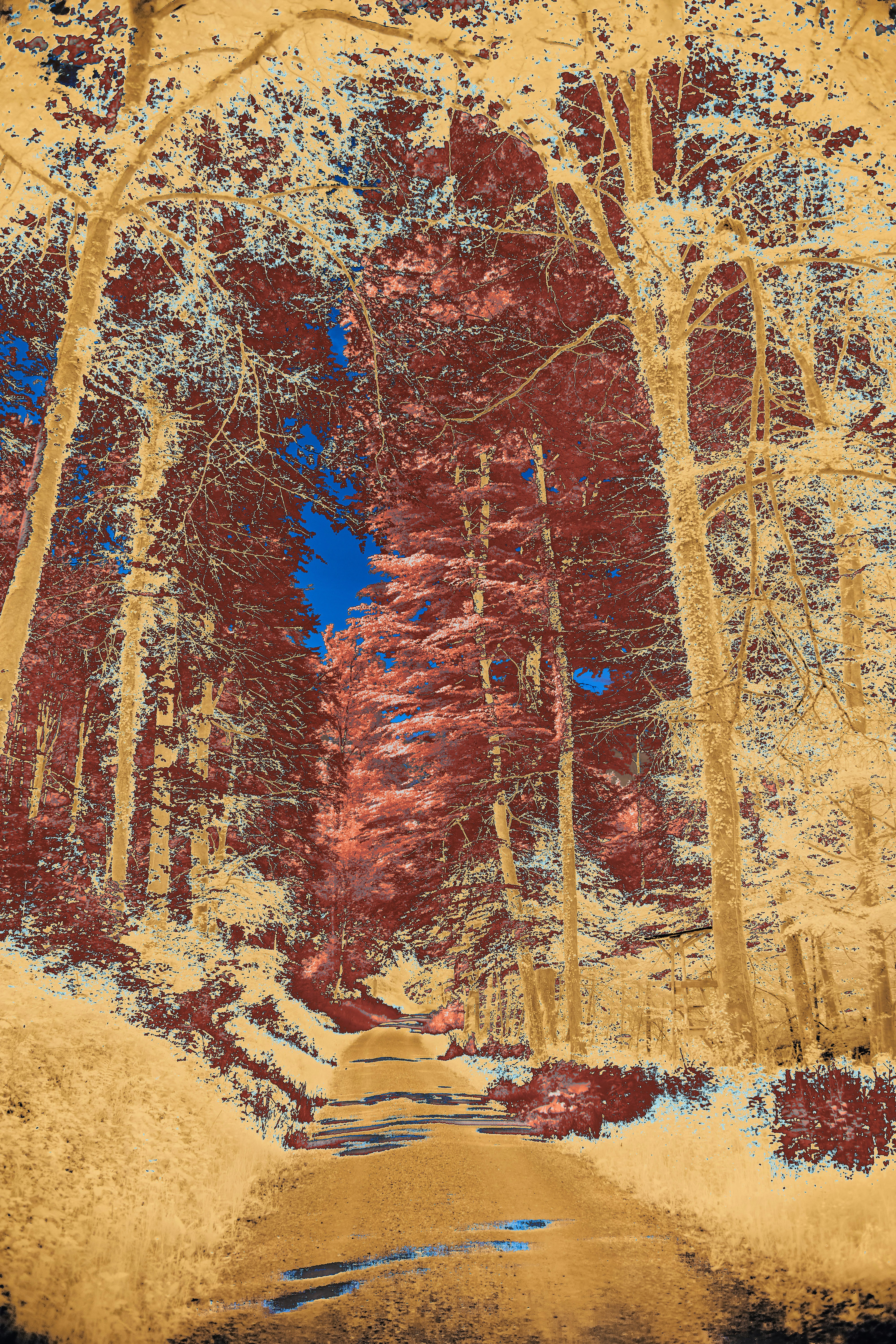 Photo by wolfgang_hasselmann