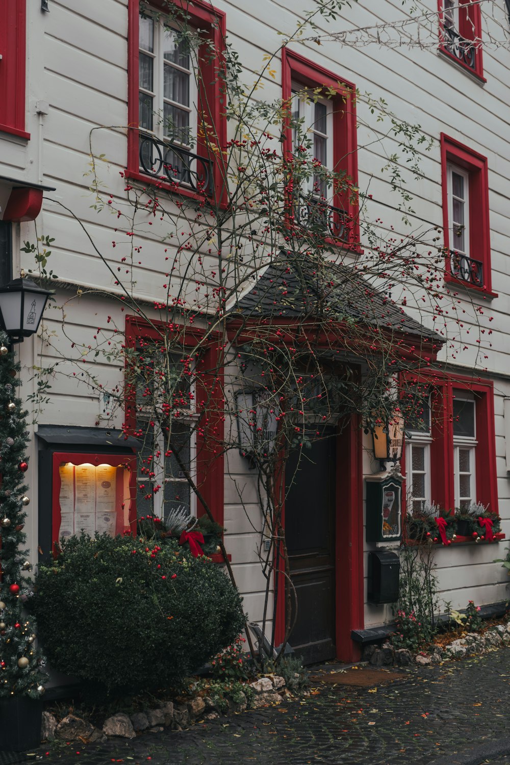 a white house with red shutters and a tree in front of it