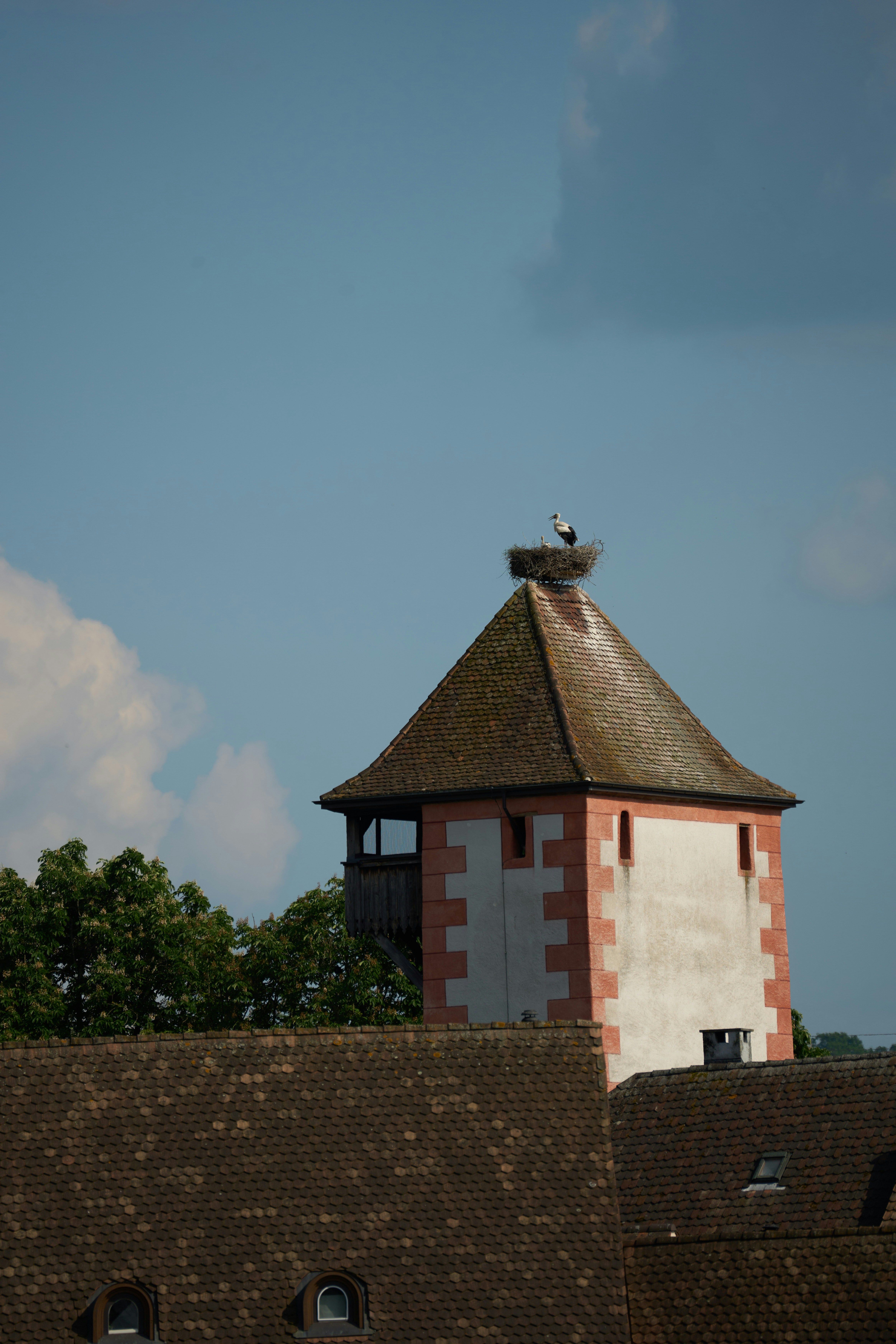 Photo by wolfgang_hasselmann