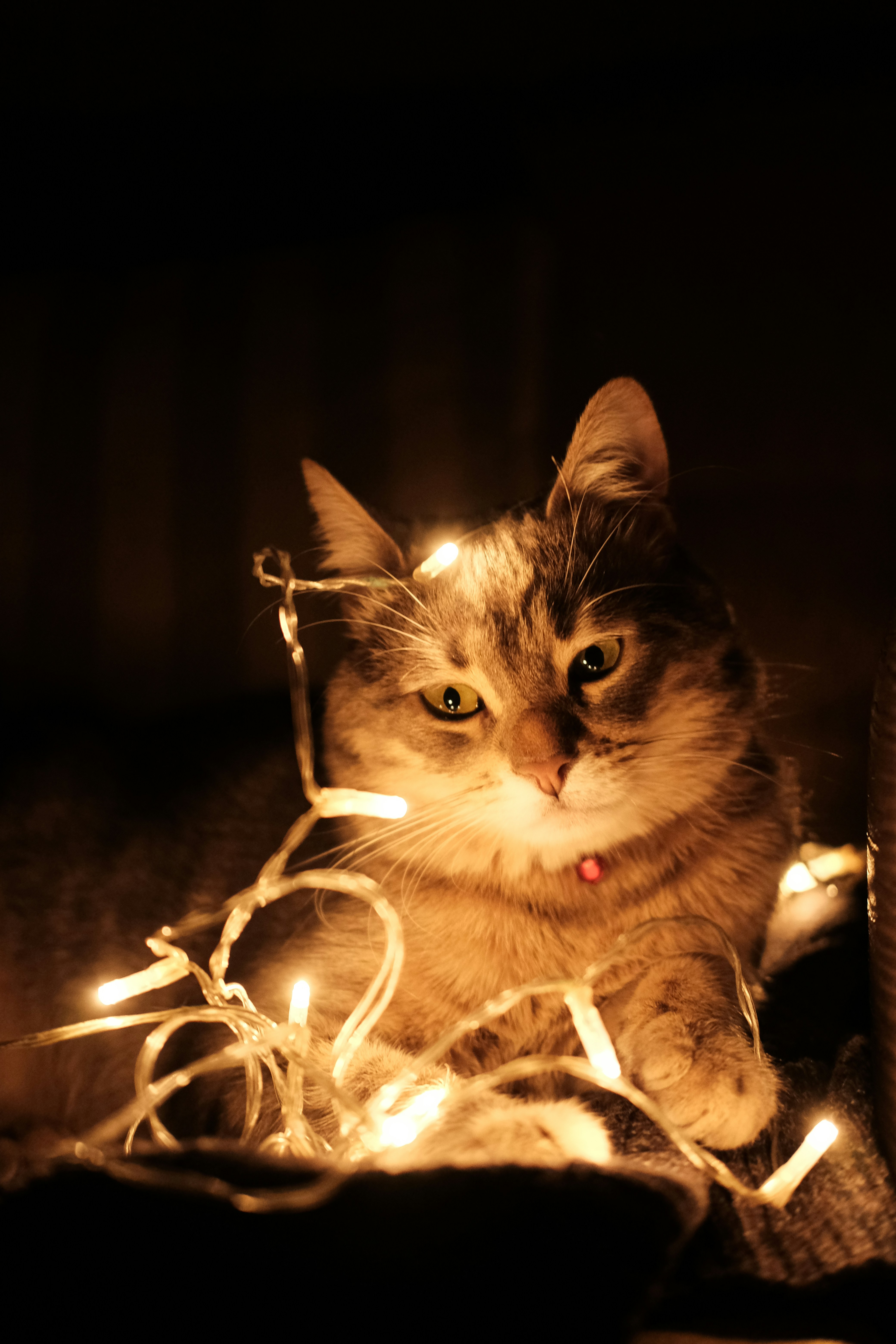 Photo by beyzaayurtkuran