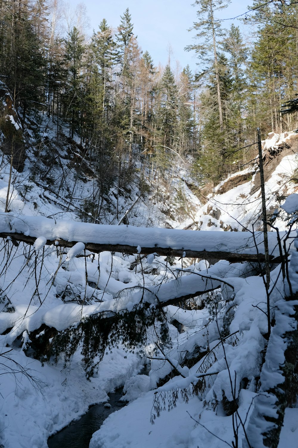 a stream running through a snow covered forest