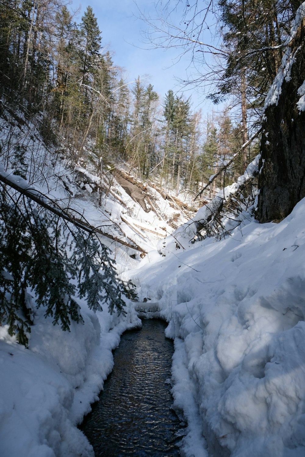 a stream running through a snow covered forest