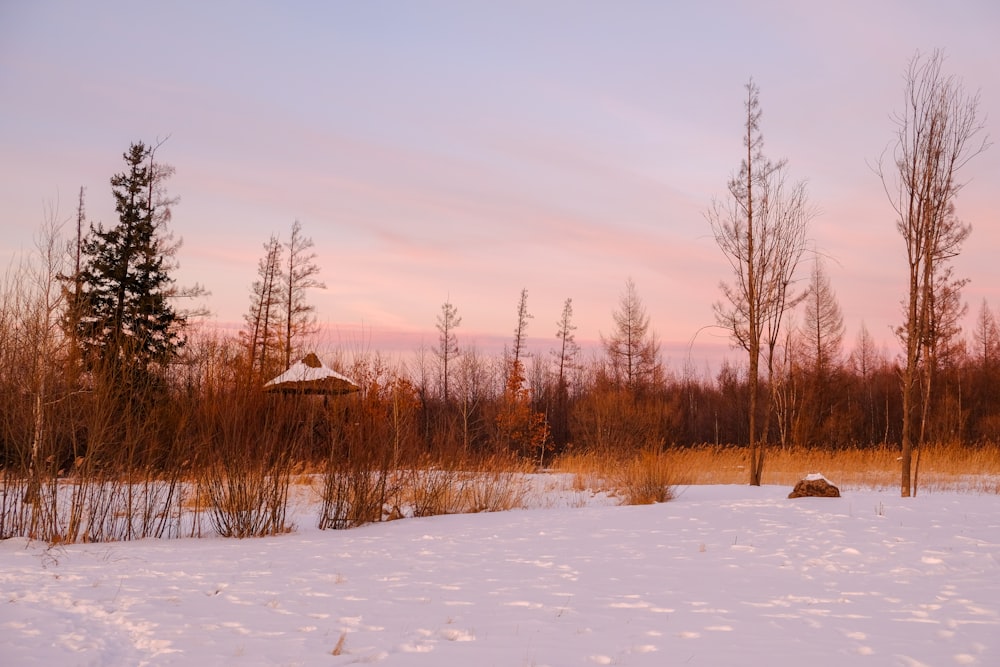 a snow covered field with trees in the background