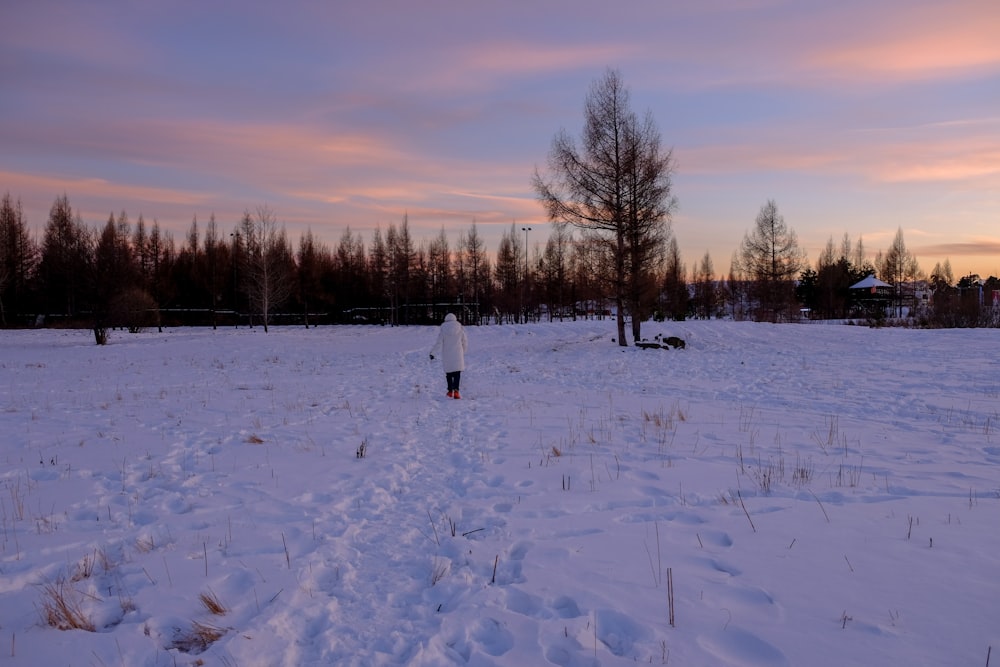 a snow covered field with a fire hydrant in the distance