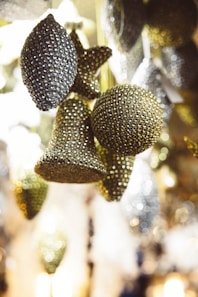 a close up of a bunch of fruit hanging from a tree