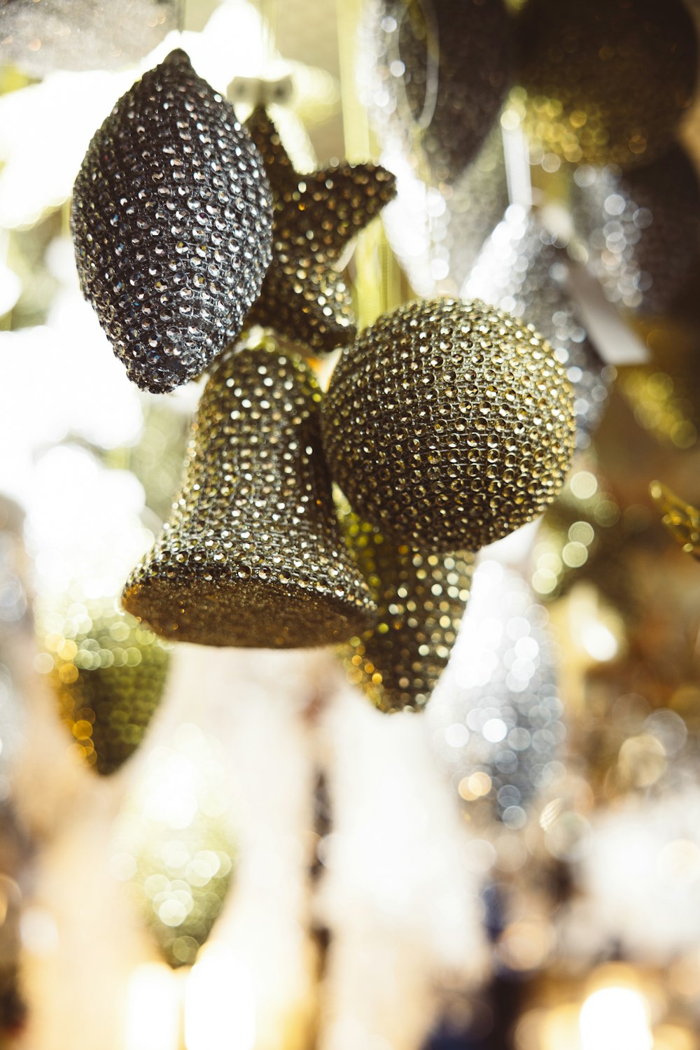 a close up of a bunch of fruit hanging from a tree