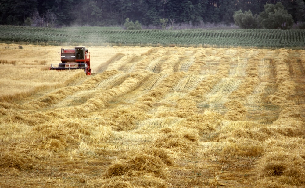 Ein Traktor fährt durch ein Heufeld