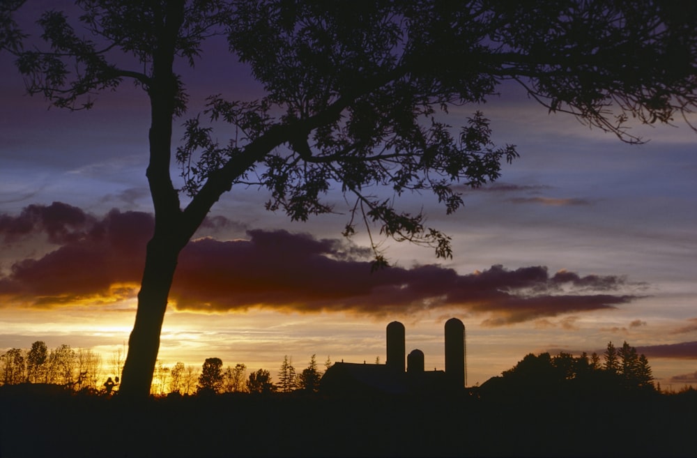 the sun is setting behind a tree and silos