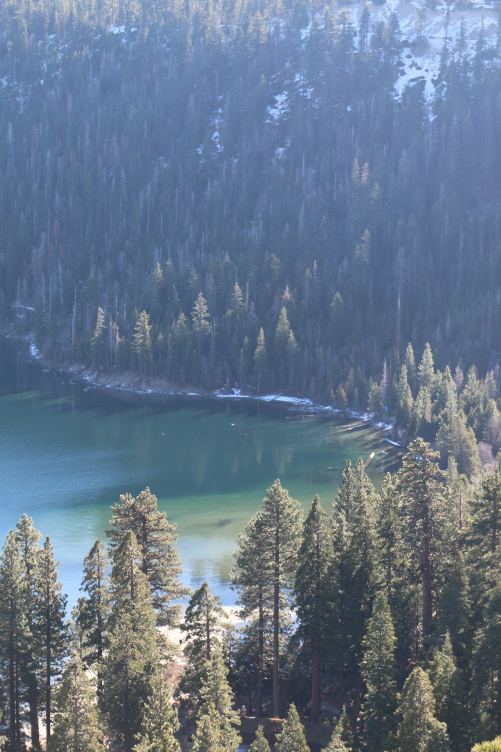 a lake surrounded by trees in the middle of a forest