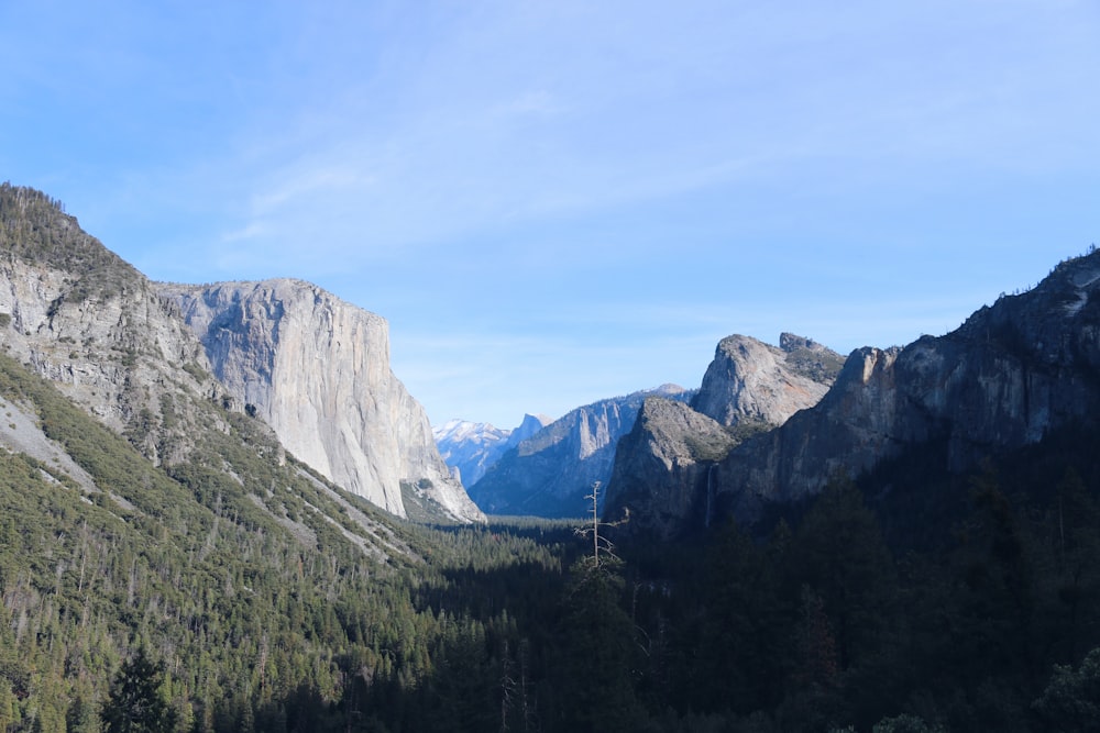 a view of a valley with mountains in the background